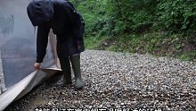 第6集：女人独自到深林中搭建帐篷，遭遇暴风雨，野外露营