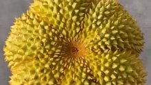 我嘞个du药解药一起吃啊