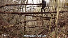 男人不用一根钉子，竟然能造出这么漂亮的小屋