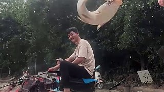 看似微笑實(shí)則是氣笑了