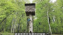 谁能拒绝在睡前刷上一集解压助眠的荒野建造呢， 看完希望你美美进入梦乡~(1)