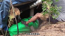 第2集：男人厌倦了都市生活，选择来到野外搭建一个荒野小屋