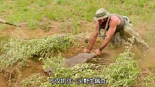 乔和马特纳米比亚荒野求生，捕获一头野猪，一条古蝮巨蝰(1)