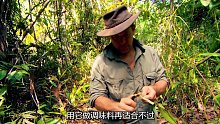 神农厨子和冤种猎人荒野求生,一路笑不停(2)