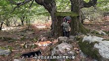 第1集：荒无人烟的野外，男人在两个枯木间搭建了舒适的小屋