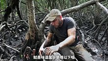 德爷加里曼丹岛荒野求生，与皇家海军陆战队员奥尔多展开求生对决，吃上嘎嘣脆的福寿螺，外焦里嫩的碳烤鲶鱼(2)