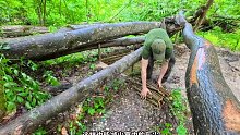 第2集：荒无人烟的野外，男人在一棵枯木下给自己搭建了舒适的荒野小屋
