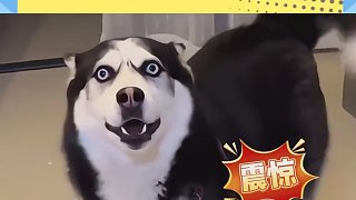 有沒有法學(xué)人說一下正確答案