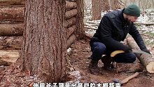 男人踏入荒野独居建造木屋庇护所，一场雪将体验感拉满 (2)