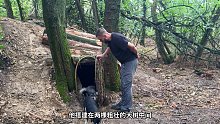 第1集：荒无人烟的野外，男人在两棵树间给自己搭建了舒适的荒野小屋