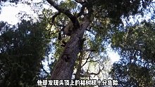 独居第三季节目组在巴塔哥尼亚展开求生挑战究竟谁才能生存道最后 (2)