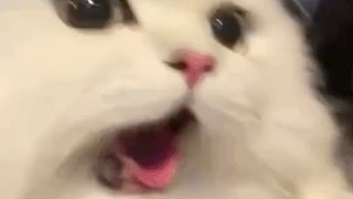 泡面已經(jīng)進(jìn)化到這種程度了