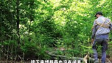 “谁能拒绝在睡前来一集解压荒野建造，看完保你美美睡上一觉” (2)