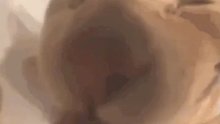爸爸的亲戚和妈妈的亲戚到底哪边更好呢