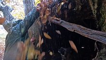 我带你在一场暴雨中深入野外，我一步一步地建造了一个真正的生存避难所 (3)