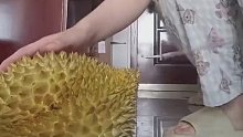 金毛 你自己吃什么你不知道吗，怎么还好意思问我