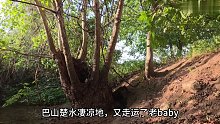助眠-荒野建造 “钢蛋利用上古神树，搭建了一个树洞庇护所，吃烤鱼” (1)