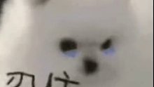 世界破破烂烂总有人在缝缝补补
