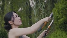 霍思燕爱犬夺冠