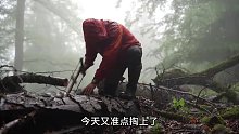 雨中露营 “一个人带着狗子来到荒野在雨中露营” (1)
