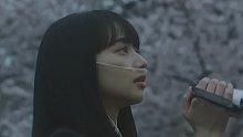 我不知道该责怪谁所以只能责怪自己太过没用