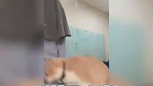 给我家猫看了，她说是演的