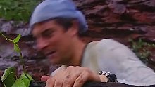 站在食物链顶端的男人究竟有多可怕！ (3)
