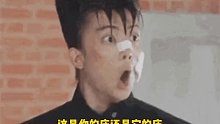 这铲屎官情绪比豚鼠还稳定吧