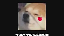 唯独不可以是这一种