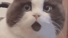 原来不是特异功能，是散光啊！