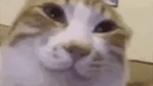 可爱的宝宝跟陌生人说再见吧