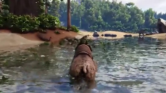 欢迎来到枫夏枝的直播间