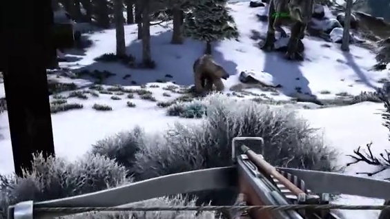 欢迎来到枫夏枝的直播间