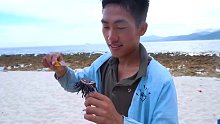 体验热带小岛生活十天，饿了生吃海胆寄生蟹《第三集》