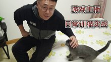 谁说猫不能训，今天教你们如何让猫咪乖乖听话