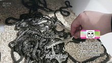 今天带你们看看蛇窝和蛇蜕！【爬宠阁】