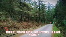 昆明附近，吴质不眠倚桂树，露脚斜飞湿寒兔，这条林道，你骑行过吗？