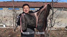 310元买一个大牛肚，热炕头上涮个“牛肚火锅”，哥俩喝多了