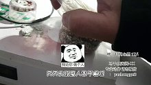 孵蛋变完蛋，又是让阁主心碎的一天【爬宠阁】