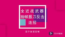 全近战武器抽帧振刀反击连招展示