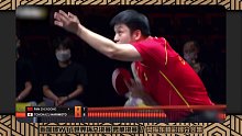 【WTT冠军赛赞助商】世界杯总决赛 男单决赛 樊振东精彩得分合集