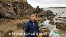 海边这么不起眼的水坑，小伙抽干后，发现石缝里竟藏着这等好货