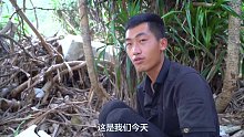 荒岛生活第五集：菠萝树下搭住所，下陷阱捕到龙虾