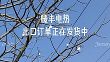 暖丰电热精准对接海外市场，持续扩大外贸出口