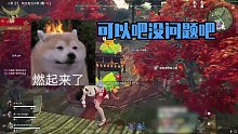 这一波我能当爸爸吗？