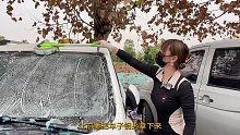 【沉浸式洗车】半年没洗快成僵尸车了，洗完焕然一新~