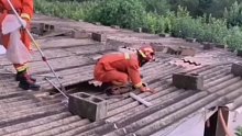 “拍你头，锁你喉”，全能消防员屋顶生抓眼镜蛇