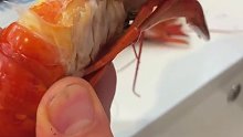 吃小龙虾必备小技巧！