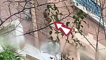 小松鼠：以后我家崽子就靠你啦！