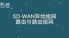 SD-WAN异地组网-路由与路由